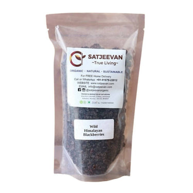 https://cdn.shopify.com/s/files/1/1857/6931/products/0RtfsVcvvD.jpg?v=1709270512